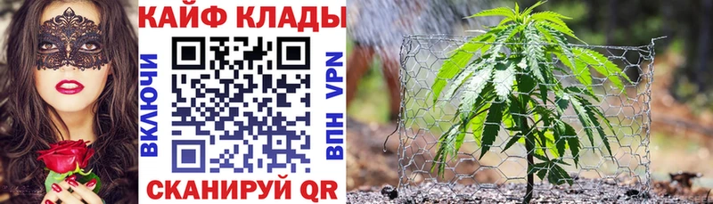 Где найти наркотики Опочка COCAIN  АМФЕТАМИН  Канабис  Мефедрон 