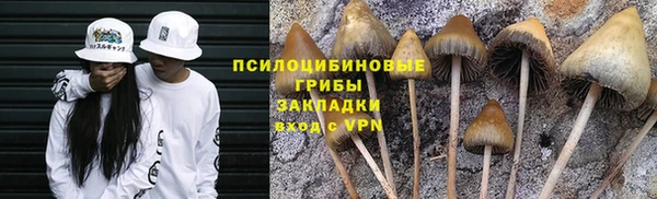 сатива Пересвет