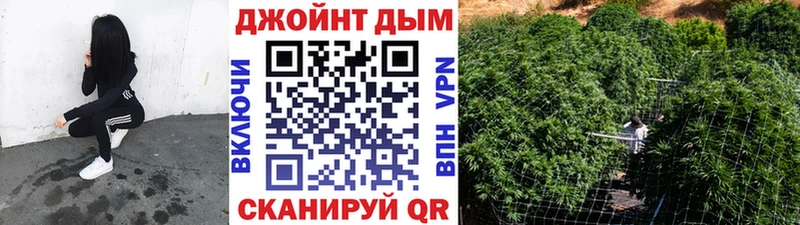 купить наркоту  Опочка  МАРИХУАНА White Widow 